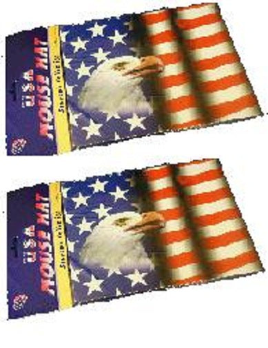 CrazyCoolBuys 2Pc Set Usa Flag Mousepads American Mouse Pad Mat